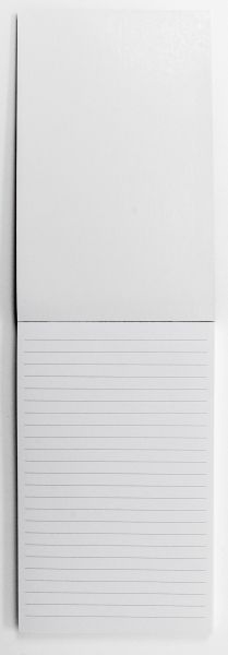 NY-SN-NPC002[1].jpg